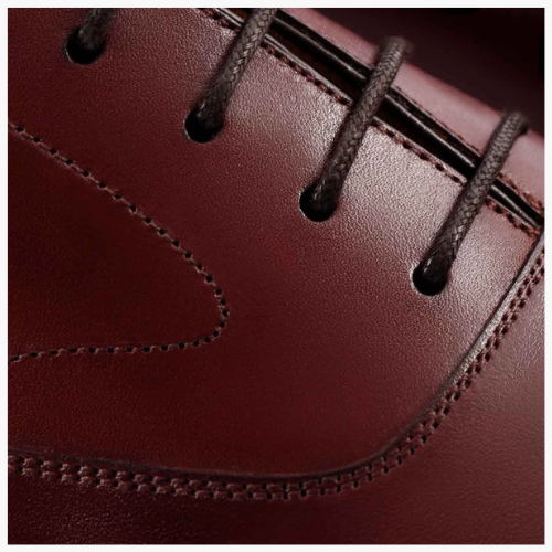 Cloewood Men's Captoe Leather Oxford Shoes - Bordeaux